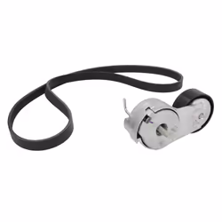 Set di cinghie Poly-V INA 529 0013 10