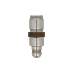 Asta di spinta INA 420 0254 10