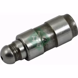 Asta di spinta INA 420 0254 10