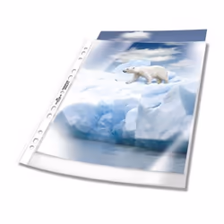 Durable 2677-19 foglio di protezione 210 x 297 mm (A4) 50 pz