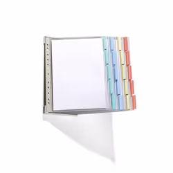 Durable 569200, 322 x 73 mm, PVC, Multicolore, 20 pz