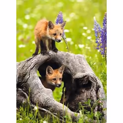 Ravensburger 12000871 puzzle Puzzle di colori 300 pz Animali - Vista aggiuntiva 2