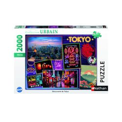 Nathan 12001091 puzzle