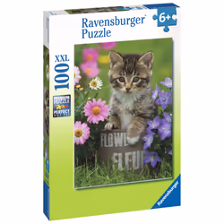 Ravensburger 4005556108473