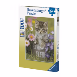 Ravensburger 4005556108473