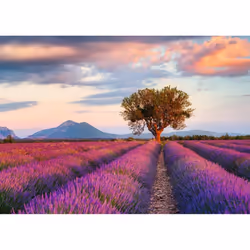 Ravensburger 16724 puzzle 1000 pz Landscape