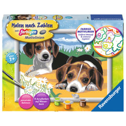Ravensburger 4005556283293 Colore per kit di verniciatura in base ai numeri