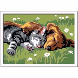 Ravensburger CreArt Sleeping Cats and Dogs Colore per kit di verniciatura in base ai numeri - Vista aggiuntiva 2