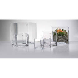 Sandra Rich Cube vaso Vaso a forma quadrata Vetro Trasparente
