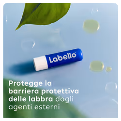 Labello Classic Care Balsamo Labbra 4.8 g, Burrocacao labbra classico fondente sulle 5,5 ml Protezione per le
