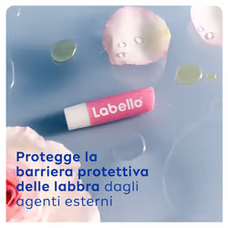 Labello Soft Rosé 4.8 g, Burrocacao labbra colorato e idratante con Estratto di Rosa 5,5 ml Protezione per le