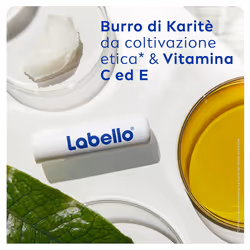 Labello Med Repair 4.8 g, Burrocacao labbra idratante e riparatore con vitamina E SPF 15 5,5 ml Protezione per le - Vista aggiuntiva 4