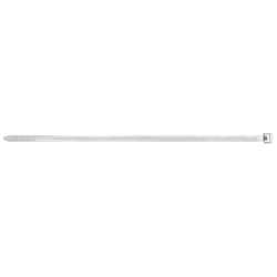 Fischer BN 2,5 x 200 fascetta Fascetta per scala Nylon Trasparente 100 pz