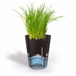 GEFU BOTANICO Vaso per erbe aromatiche Libera installazione Plastica, Acciaio inox Nero - Vista aggiuntiva 5