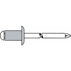 Format - Rivet Alu Va Rotonda Flachkopf X10Mm Gesipa 3 (a 500)