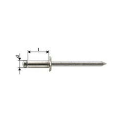 Gesipa - Rivetto Cieco In Acciaio Inox A2 Semiovale Testa 4X10Mm (a 1000)