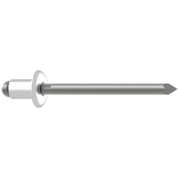 Gesipa - 1433638 Rivetto Acciaio inox Acciaio inox 250 pz.