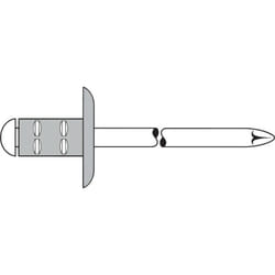 Gesipa - Rivet Alu Acciaio Grande Testa. 4,8X25 Mm (a 100)