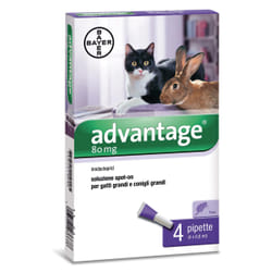 Carrefour Antiparassitario advantage spot on 80 valva per gatti e conigli > 4kg Gocce contro pulci e zecche per animali domestici