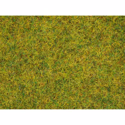 NOCH Scatter Grass “Summer Meadow” parte e accessorio di modellino in scala Piante