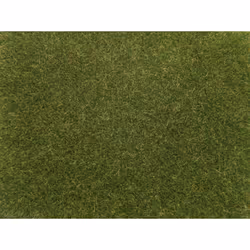 NOCH 08364, Verde