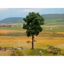 NOCH Pine Tree, Verde
