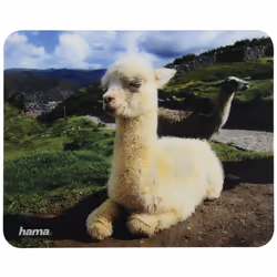Hama Mouse Pad antiscivolo Animali - Vista aggiuntiva 7