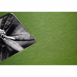Hama Fine Art album fotografico e portalistino Verde 300 fogli 10 x 15, 13 x 18 - Vista aggiuntiva 4