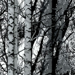 Plastica adesiva D-c-fix CM.45X200 wood