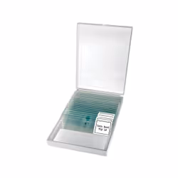Bresser Optics ERUDIT 400x Microscopio ottico - Vista aggiuntiva 5