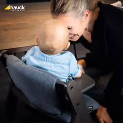 Hauck Highchair Pad Select Imbottitura per seggiolone Rosa