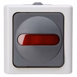 Kopp 561656007, Pulsanti, Grigio, Bianco, Termoplastica, IP44, 250 V, 10 A