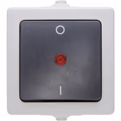 Dettagli tecnici Colore Grigio Corrente nominale 10 A Funzione programmazione interruttore Interruttore Materiale serie inter ...