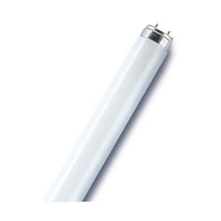 Tubo fluorescente dritto T8 opaco 950 Lm 70 w bianco Osram Osram