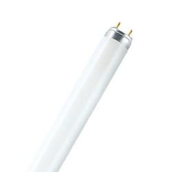 Osram L 16 W/830 lampada fluorescente G13 Bianco caldo