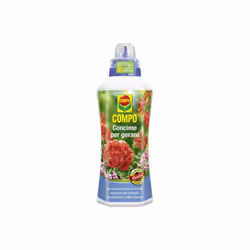 Concime per Gerani - Compo / 1 lt Concime minerale liquido arricchito con ferro ideale per gerani. Garantisce fioriture prolu ...