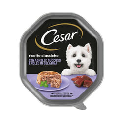 Ricette Classiche per Cane Adult Mini da 150 gr Agnello e Pollo in gelatina - Cesar