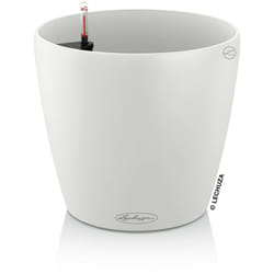 LECHUZA Classico Color 28 Interno Vaso a cubo Libera installazione Polipropilene (PP) Bianco
