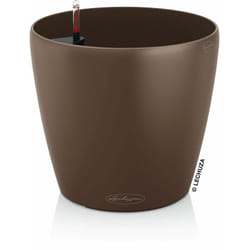 LECHUZA Classico Color 28 Interno Vaso a cubo Libera installazione Polipropilene (PP) Marrone