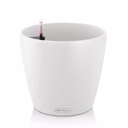 LECHUZA Classico Color 43, Vaso a cubo, Libera installazione, Polipropilene (PP), Bianco, Rotondo, Interno