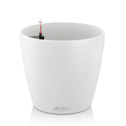 LECHUZA Classico Color 43 Interno Vaso a cubo Libera installazione Polipropilene (PP) Bianco