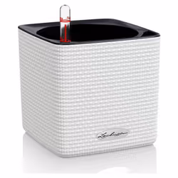 LECHUZA CUBE Color 14, Vaso a cubo, Libera installazione, Polipropilene (PP), Bianco, Interno, Nero