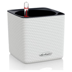 LECHUZA CUBE Color 14 Interno Vaso a cubo Libera installazione Polipropilene (PP) Bianco