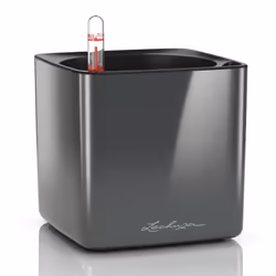 LECHUZA CUBE, Vaso a cubo, Libera installazione, Polipropilene (PP), Antracite, Quadrato, Interno