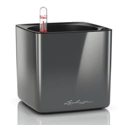LECHUZA CUBE Interno Vaso a cubo Libera installazione Polipropilene (PP) Antracite