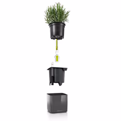 LECHUZA CUBE Interno Vaso a cubo Libera installazione Polipropilene (PP) Antracite