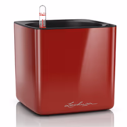 LECHUZA CUBE, Vaso a cubo, Libera installazione, Polipropilene (PP), Rosso, Quadrato, Interno