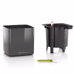 LECHUZA CUBE Interno Vaso a cubo Libera installazione Polipropilene (PP) Rosso