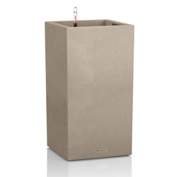 LECHUZA CANTO Interno/esterno Fioriera Libera installazione Plastica Beige