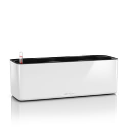 LECHUZA CUBE Interno Vaso a cubo Libera installazione Polipropilene (PP) Bianco
